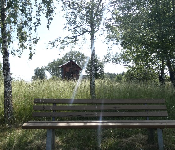 Houten bankje op een weiland, omringd door bomen. Een klein houten huisje op de achtergrond. Stralen zonlicht vallen door de bladeren., © TI Bitburger Land