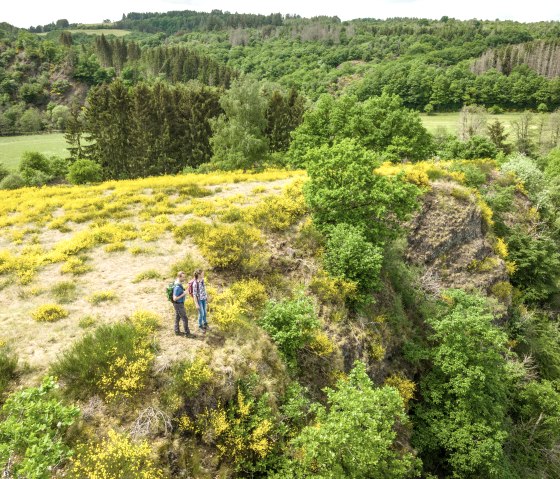 Zwei Wanderer auf einem Hügel mit gelbem Ginster, umgeben von grüner Waldlandschaft. Aussichtspunkt auf der Eifelgold Route., © Eifel Tourismus GmbH, Dominik Ketz