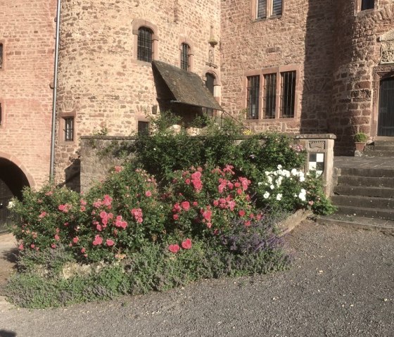 Schloss Hamm - Impression
