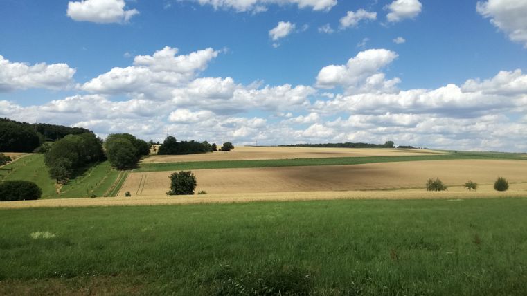 Weitblick über grüne und goldene Felder unter blauem Himmel mit Wolken.