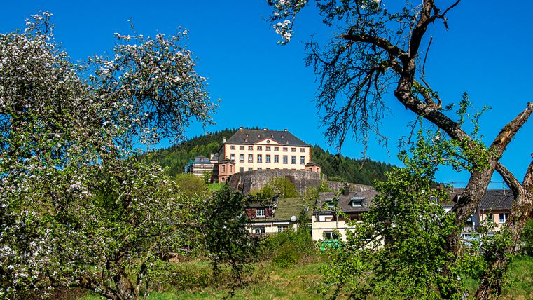 Schloss Malberg auf einem Hügel, umgeben von blühenden Bäumen und Häusern im Vordergrund.