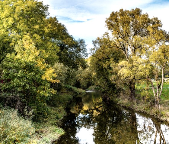 La Prüm coule à travers un paysage automnal à Oberweis, entourée d'arbres aux feuilles vertes et jaunes. Le ciel est légèrement nuageux., © TI Bitburger Land