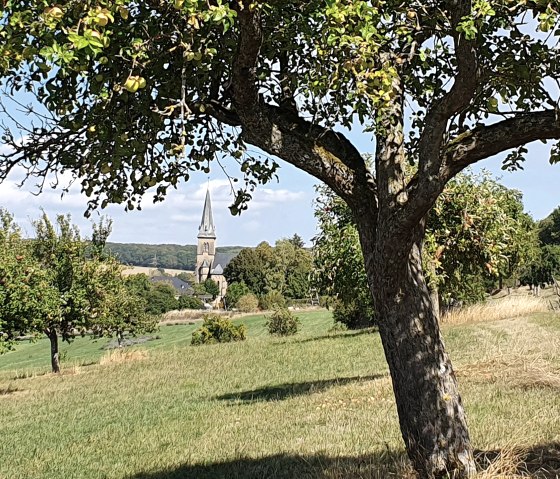 Un arbre avec des feuilles vertes et des pommes au premier plan, derrière une prairie et un clocher au loin sous un ciel bleu., © TI Bitburger Land - Steffi Wagner