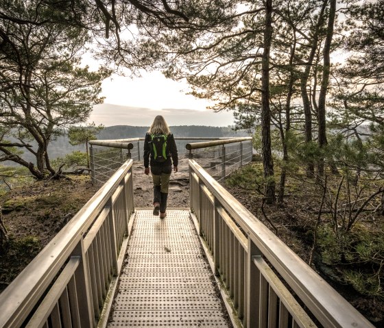 Framed by the trees at the Gaisley viewpoint, &copy; Eifel Tourismus GmbH, D. Ketz