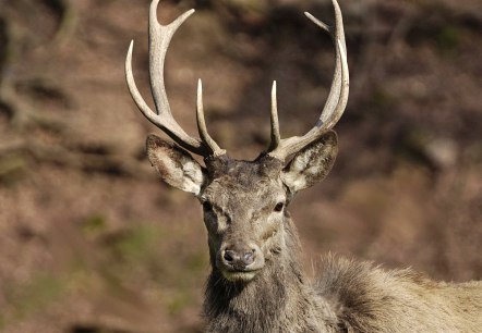 Eifelpark Gondorf, &copy; Eifelpark
