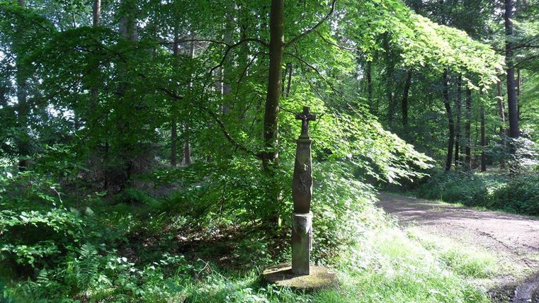Ein ruhiger Wald mit üppigem Grün und Sonnenlicht, das durch die Bäume scheint. In der Nähe des Weges steht eine kleine Statue.