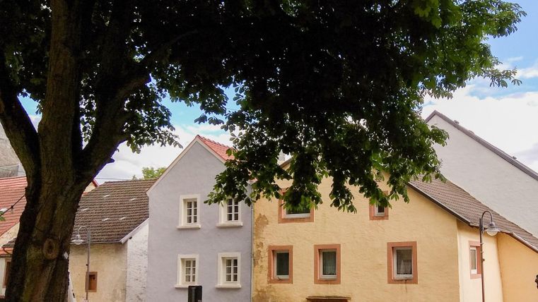 A picturesque city view with colorful houses and a green tree in the foreground. The architecture is charming and typical for historical urban areas.