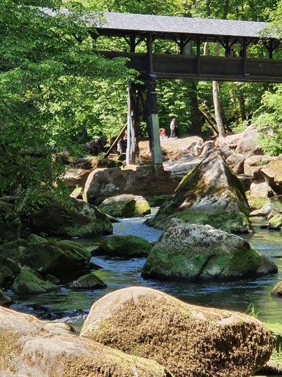 Eine ruhige Flusslandschaft mit großen, moosbedeckten Steinen und buntem Grün. Im Hintergrund ist eine Holzbrücke und Menschen, die die Natur genießen.