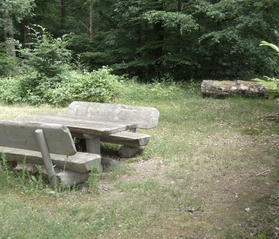 A rustic wooden table with benches stands in a clearing in the forest, surrounded by trees and bushes., &copy; TI Bitburger Land