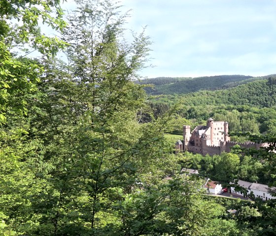 Schloss Hamm thront malerisch inmitten grüner Wälder und Hügel, umgeben von üppiger Vegetation und einem klaren Himmel., © TI Bitburger Land
