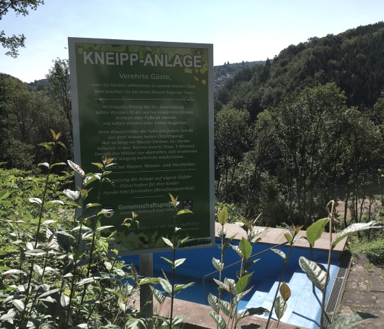 Kneipp facility in the countryside with information board and blue treading pool. Surrounded by trees and plants, sunny day., © TI Bitburger Land
