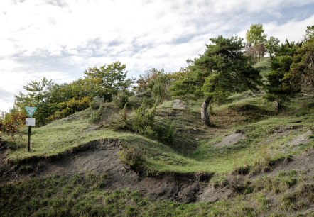 Green hilly landscape in the Scharren nature reserve near Dockendorf with trees and a nature reserve sign under a cloudy sky., © Tourist-Info Bitburger Land
