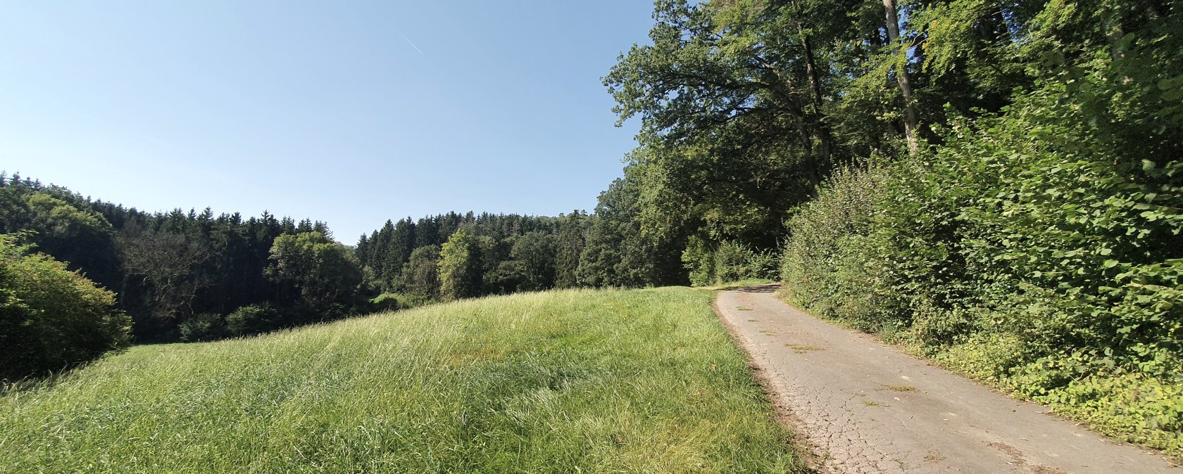 Ein schmaler Weg verläuft entlang eines Waldrandes, umgeben von grünen Wiesen und Bäumen. Der Himmel ist klar und blau., © Tourist-Information Bitburger Land