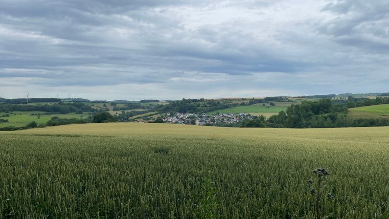 Landschaft mit Feldern und einem Dorf im Hintergrund unter bewölktem Himmel.