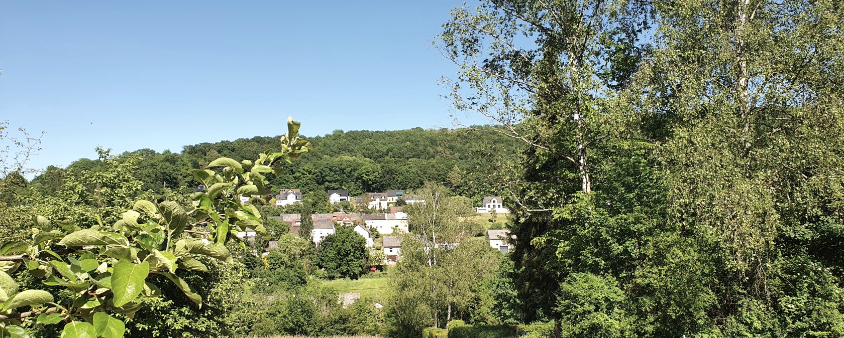 Vue sur le village de Hüttingen, niché dans un paysage verdoyant d'arbres et de prairies sous un ciel bleu et dégagé., © TI Bitburger Land