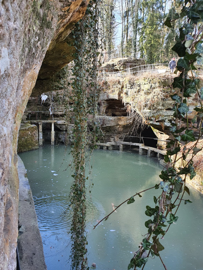 Ein malerischer Ort mit einem kleinen, stillen Teich und von Bäumen umgebenen Felsen. Grüne Pflanzen hängen über das Wasser und schaffen eine ruhige Atmosphäre.