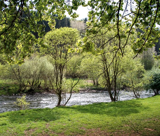 A river flows through a green landscape of trees and meadows. Sunlight falls through the leaves and creates a peaceful ambience., © Tourist-Information Bitburger Land_Monika Mayer