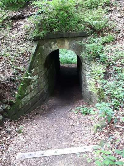 Ein schmaler Tunnel im Wald, umgeben von grünem Gebüsch. Der Weg führt in die Dunkelheit des Tunnels.