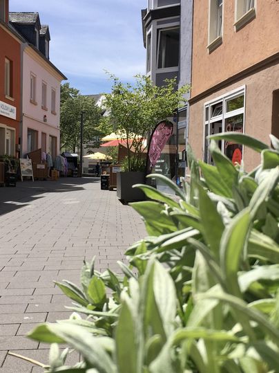 A quiet street with colorful buildings and outdoor tables. Green plants adorn the sidewalk in the foreground.