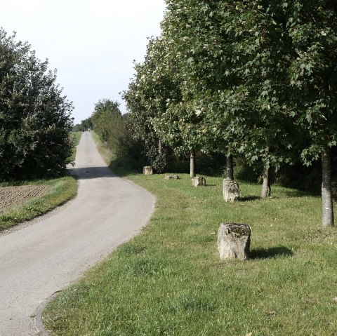 Un chemin asphalté serpente à travers un paysage verdoyant d'arbres et de prairies. Des pierres bordent le chemin., © Berscheid