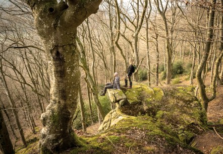 Two people are standing and sitting on a moss-covered rock in a bare forest. The trees are tall and dense, without leaves., © Eifel Tourismus GmbH, D. Ketz