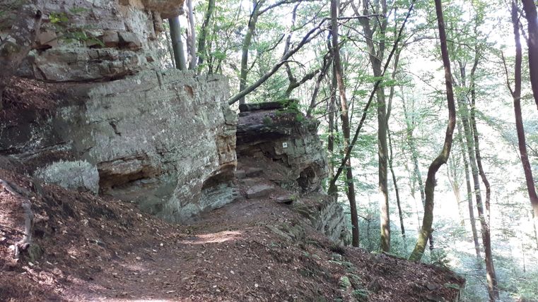 Ein schmaler Weg zwischen hohen Bäumen und Felsen. Die Umgebung ist grün und natürlich.
