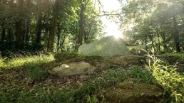 Mystische Stimmung am Steinkistengrab, © Eifel Tourismus GmbH, D. Ketz