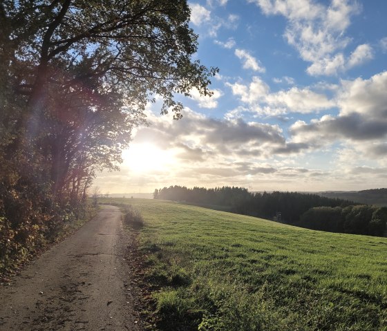 Herfstwandeling bij Prüm, © Tourist-Information Prümer Land Sebastian Wiesen