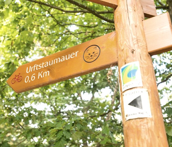 Passer devant le Wildnistrail sur le Eifelsteig, &copy; Eifel Tourismus GmbH, D. Ketz