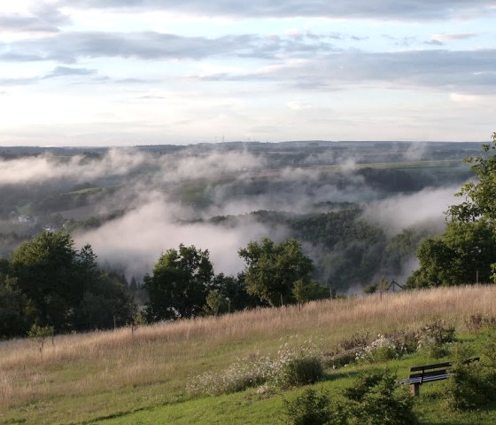 Panoramablick über eine grüne Landschaft mit Nebel. Im Vordergrund eine Bank, im Hintergrund Hügel und Bäume unter einem bewölkten Himmel., © Eifelverein Ortsgruppe Speicher