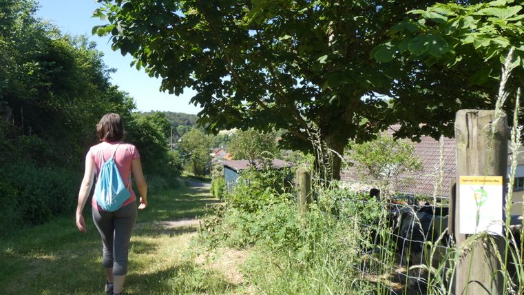 Person wandert auf einem Pfad mit Bäumen und einem Wegweiser.
