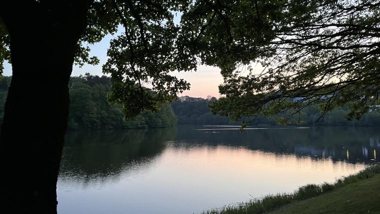 Een rustige meer omringd door bomen in de schemering. Het water weerspiegelt de zachte kleuren van de lucht.