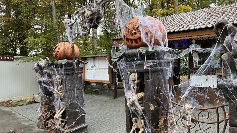 A spooky entrance with Halloween decorations. Pumpkins, cobwebs, and skeleton figures create a chilling atmosphere.