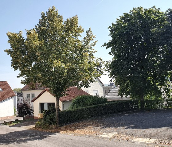 Dorpsstraat in S&uuml;lm met huizen en bomen. De zon schijnt en de lucht is blauw. Een rustig, idyllisch dorpsgezicht., &copy; Tourist-Information Bitburger Land