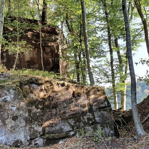 Ein Wald mit großen Felsen und Bäumen, die von Sonnenlicht beleuchtet werden. Der Boden ist mit Laub bedeckt., © Tourist-Info Bitburger Land