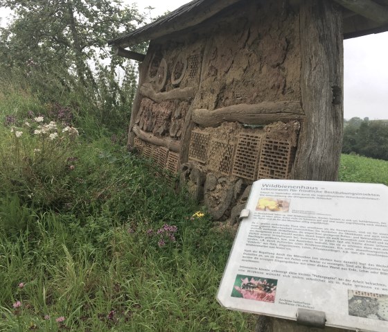 Insectenhotel van hout en klei op een weiland met wilde bloemen. Een bord legt de functie van het wilde bijenhuis uit., © TI Bitburger Land M.Mayer
