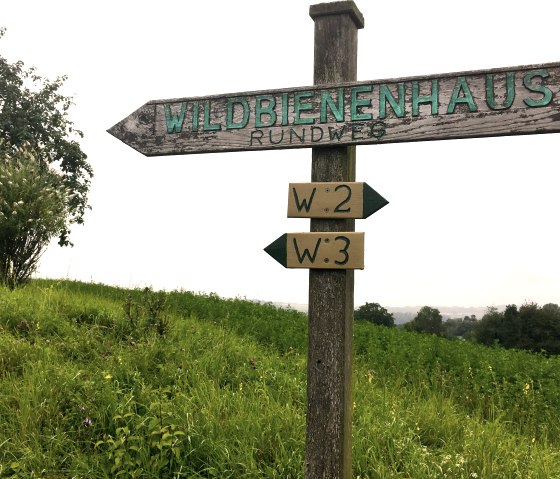 Een houten wegwijzer wijst naar het wilde bijenhuis op een groen natuurpad. Twee andere borden wijzen naar de routes W2 en W3., © Ti Bitburger Land