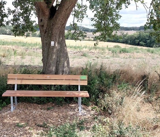 Eine Holzbank steht unter einem Baum auf einem Rastplatz mit Blick auf ein weites Feld. Der Boden ist mit Holzschnitzeln bedeckt., © Otmar Schröder