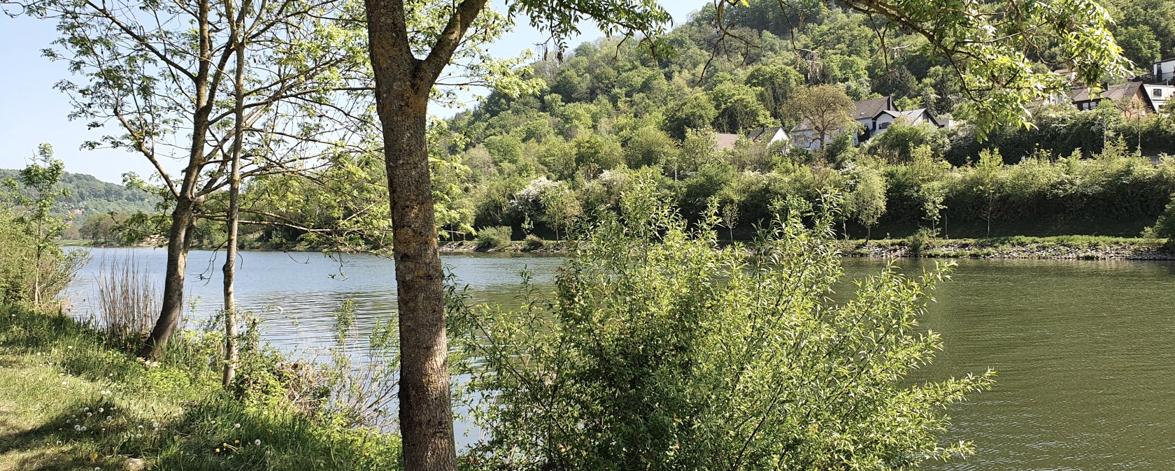 Een rivier stroomt rustig langs een beboste oever. Op de achtergrond zijn heuvels en verspreide huizen te zien., © Tourist-Information Bitburger Land, Steffi Wagner