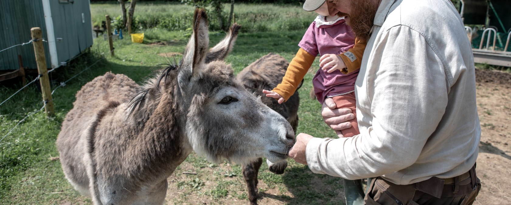 NENGSHOF_Eselwanderung&copy;Nengshof (1), &copy; Nengshof