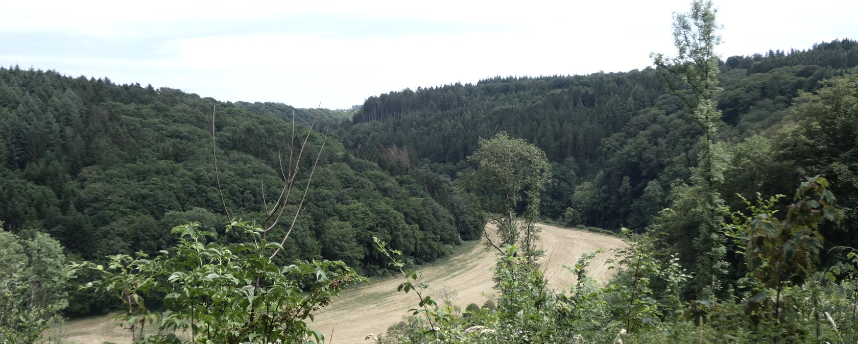 Blick auf eine grüne, bewaldete Landschaft mit einem Feld im Tal. Der Himmel ist bewölkt, die Vegetation üppig und dicht., © TI Bitburger Land