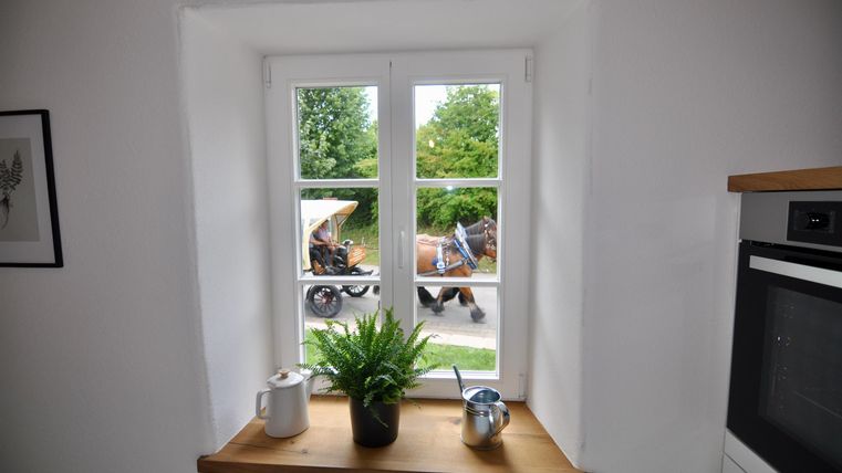 A window with a view outside, through which a carriage with horses can be seen. On the windowsill, there are plants and decorative items.