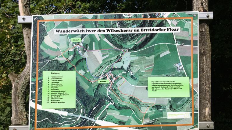 Karte des Wanderwegs an der Wilsecker Linde mit Stationen und Routen.