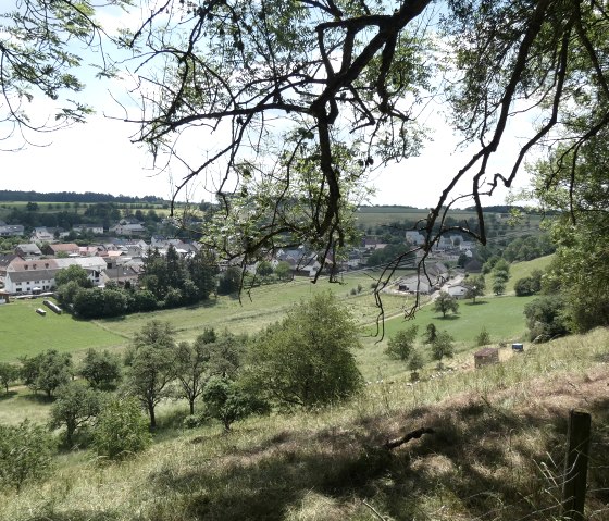 Panoramisch uitzicht op Gransdorf, omringd door groene weiden en bomen, met een tak op de voorgrond., © TI Bitburger Land