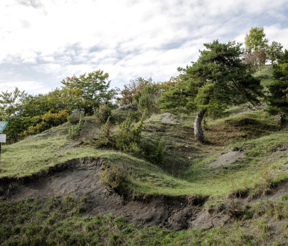 Green hilly landscape in the Scharren nature reserve near Dockendorf with trees and a nature reserve sign under a cloudy sky., © Tourist-Info Bitburger Land