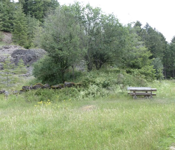 Leisteenrots bij wandelpad nr. 21, © Tourist-Information Islek
