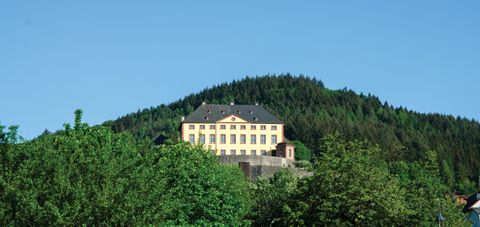 Schloss Malberg vor bewaldetem Hügel und blauem Himmel.