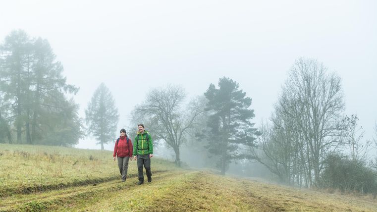 Deux personnes se promènent dans un paysage brumeux. À l'arrière-plan, on aperçoit des arbres et un champ paisible.