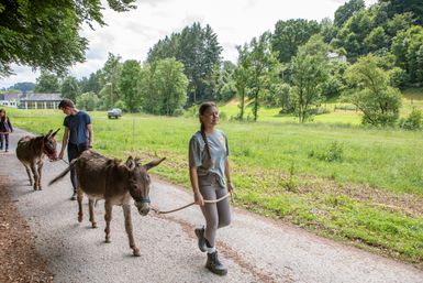 eine Gruppe von Menschen, die mit Eseln wandern geht.