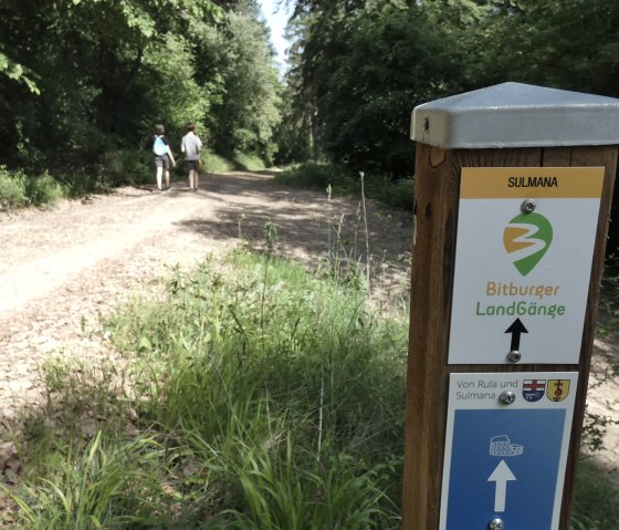 Ein Wegweiser im Wald zeigt den 'Bitburger LandGänge' Weg. Zwei Personen spazieren auf dem Pfad, umgeben von Bäumen und Grün., © TI Bitburger Land